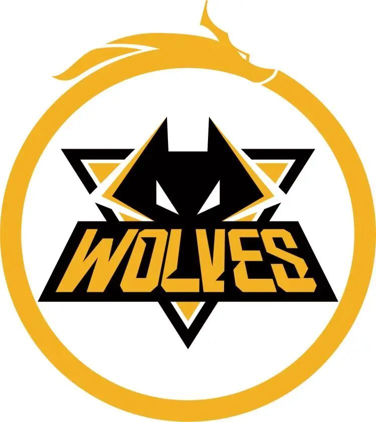 手机Soniqs 获得 EWC沙特电竞世界杯《PUBG》项目总冠军