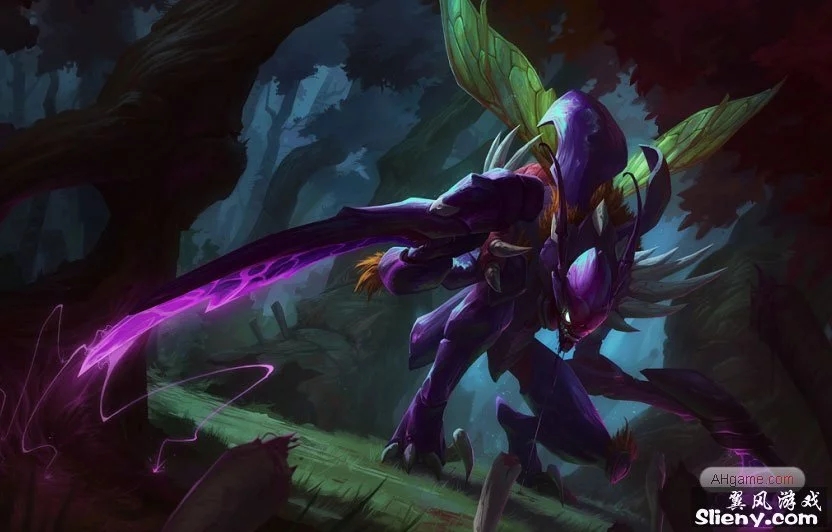 即将到来的TP世界锦标赛2026的新细节